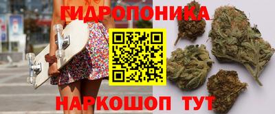 индика Абакан